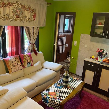 Villa Miris Dunja Zlatibor Exteriér fotografie