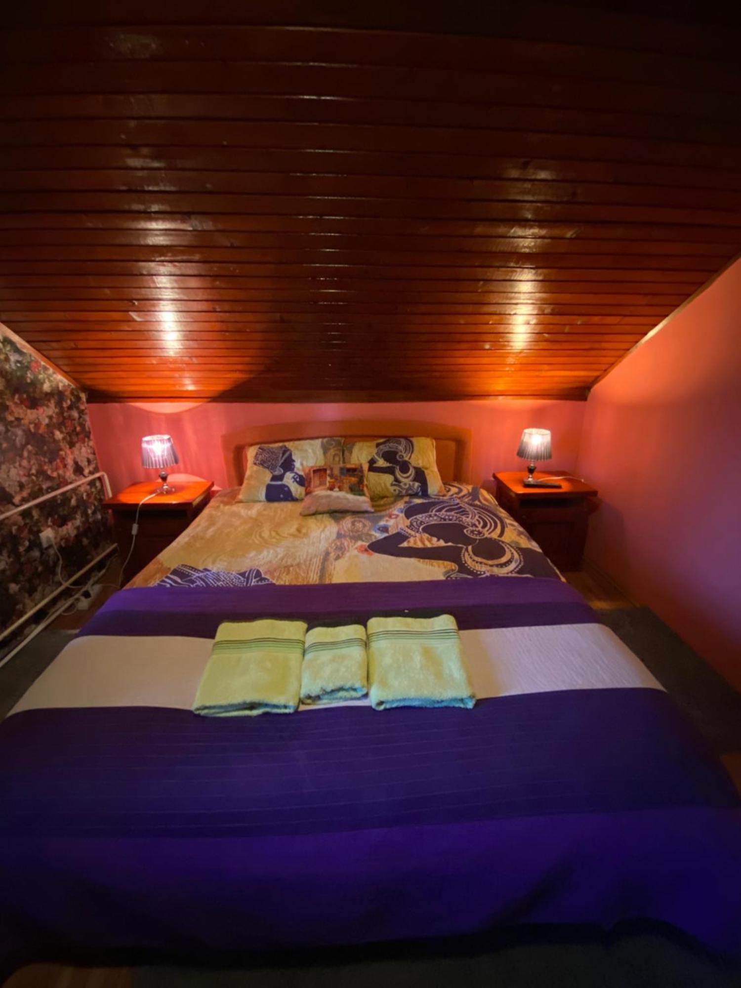 Villa Miris Dunja Zlatibor Exteriér fotografie
