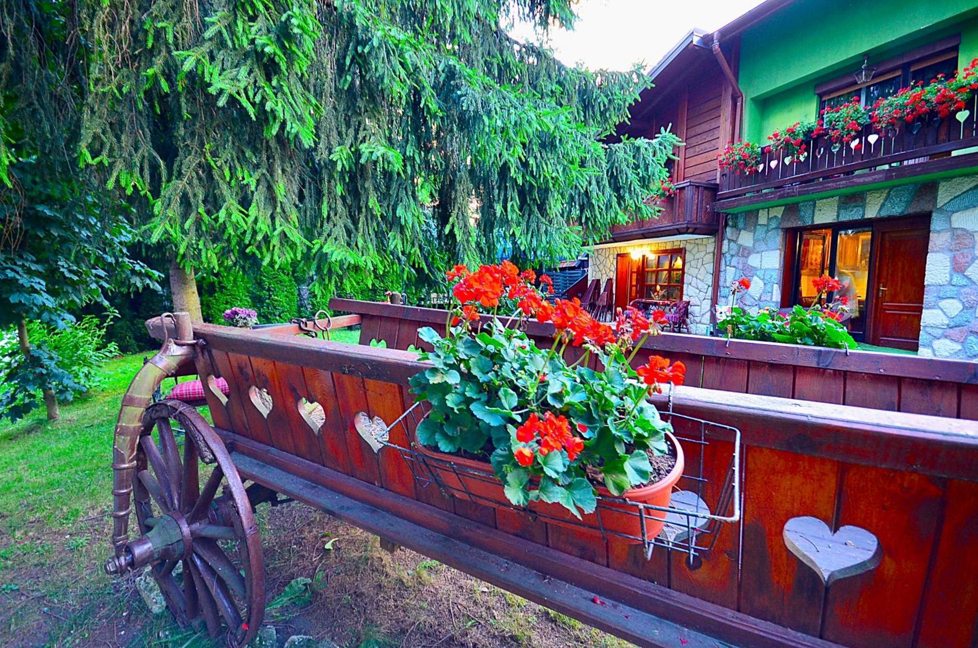 Villa Miris Dunja Zlatibor Exteriér fotografie
