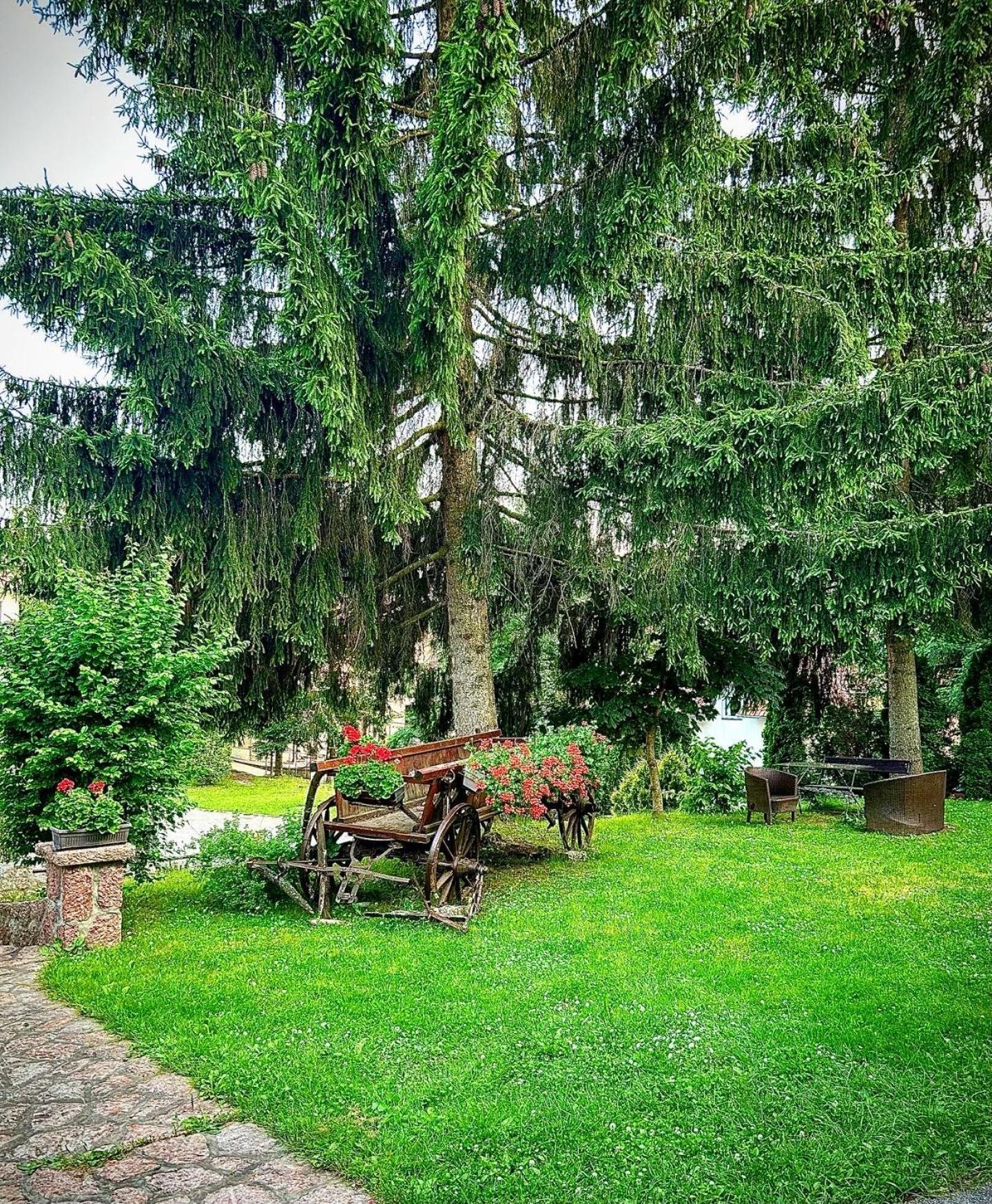 Villa Miris Dunja Zlatibor Exteriér fotografie