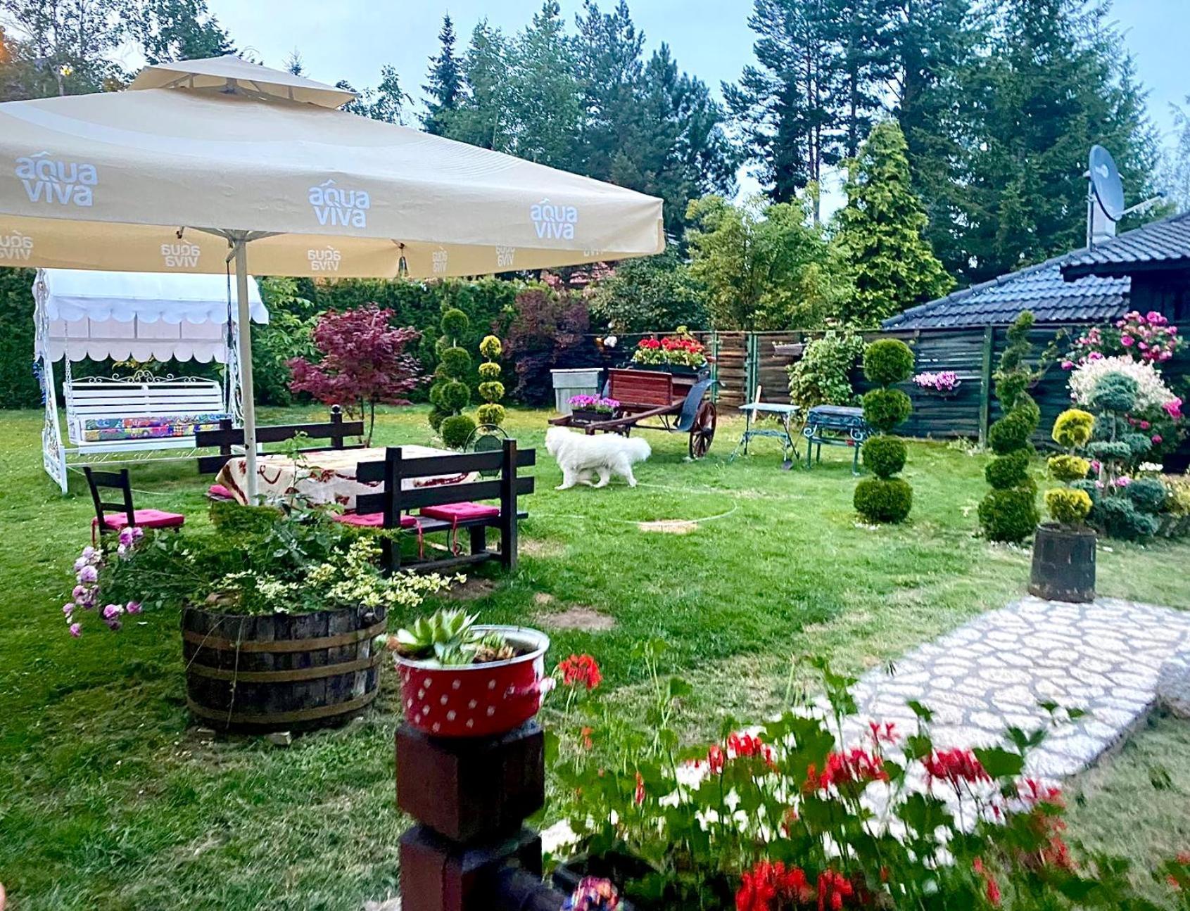 Villa Miris Dunja Zlatibor Exteriér fotografie