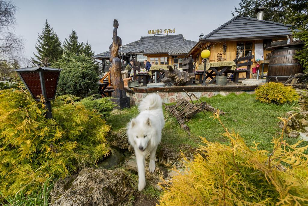 Villa Miris Dunja Zlatibor Exteriér fotografie