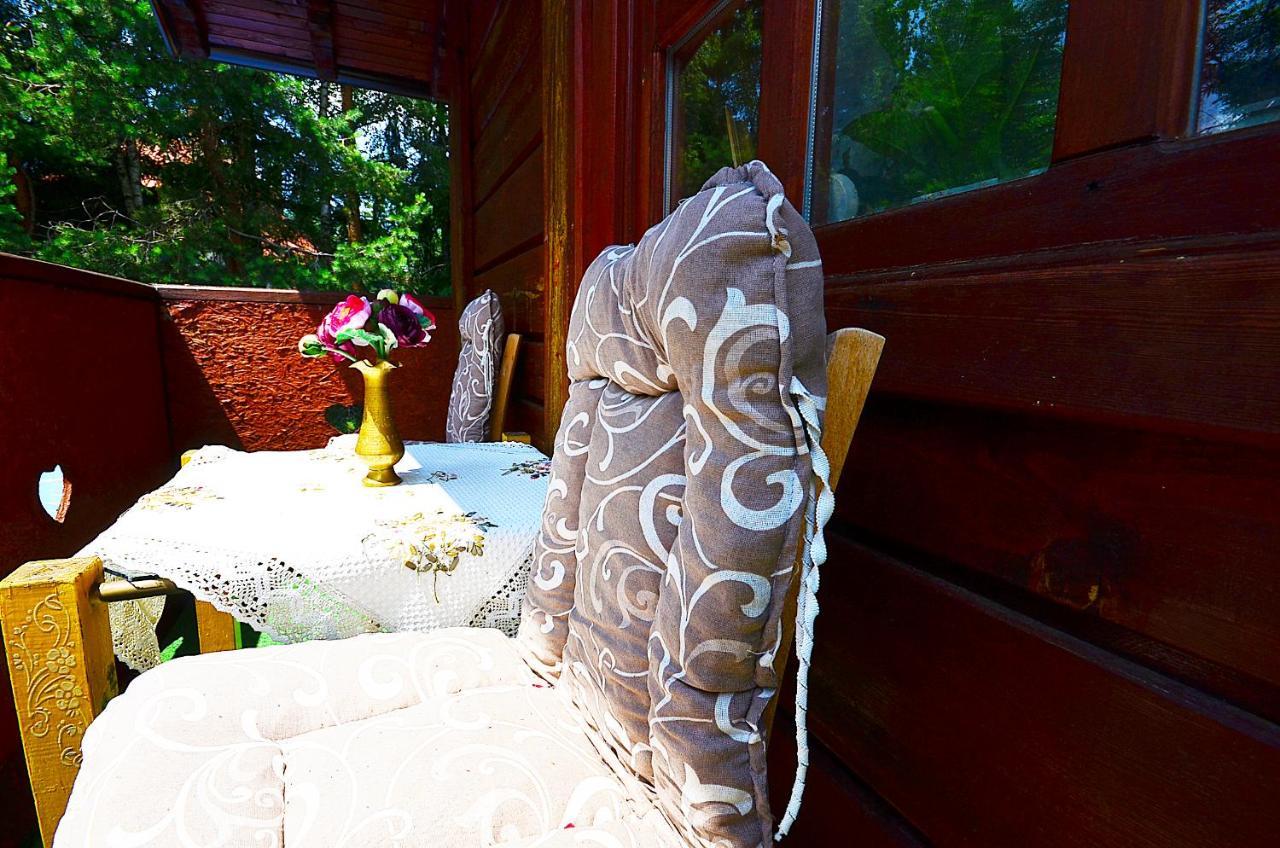 Villa Miris Dunja Zlatibor Exteriér fotografie