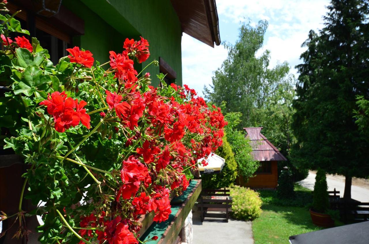 Villa Miris Dunja Zlatibor Exteriér fotografie