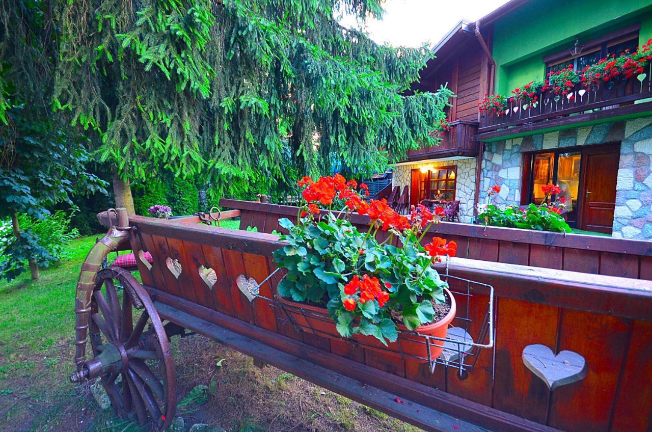 Villa Miris Dunja Zlatibor Exteriér fotografie